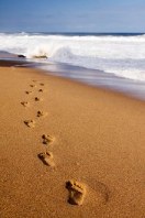 Networks. Library Image: Steps in Sand (Sml)